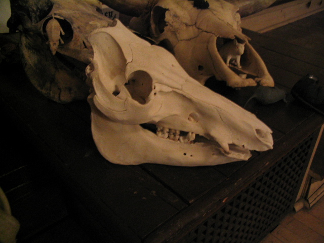 627x466 pixels (141K)